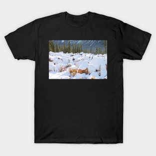 Among the Rocks: Autumn Snow in The Rockies T-Shirt